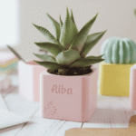 Macetero Personalizado