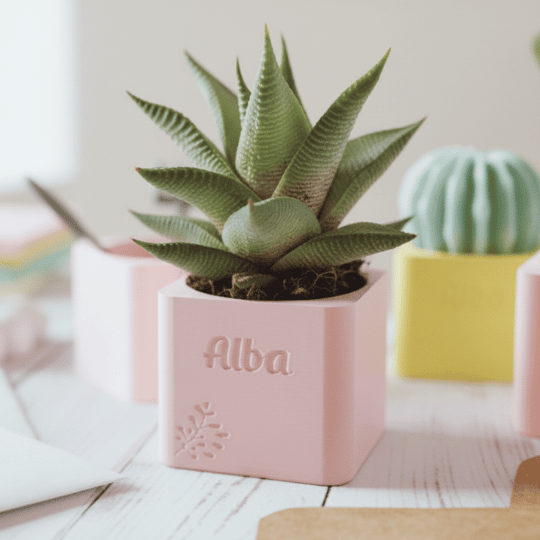 Macetero Personalizado