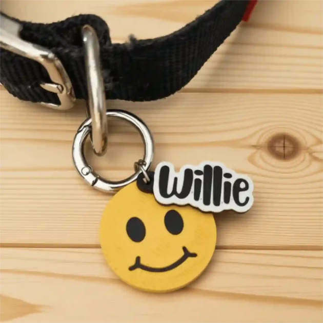 Chapa identificativa para mascotas | Lupidot Smile